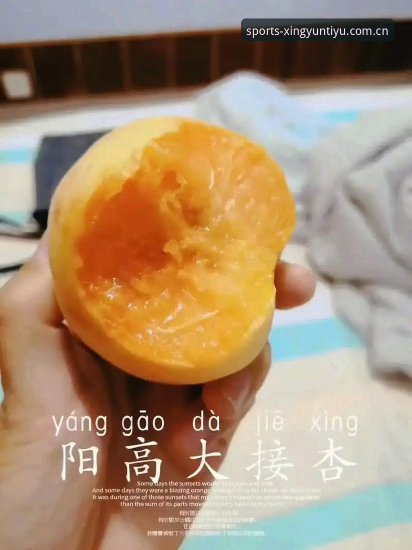 杏运体育登录 杏运体育登录全攻略:5大核心功能与3种下载方式详解